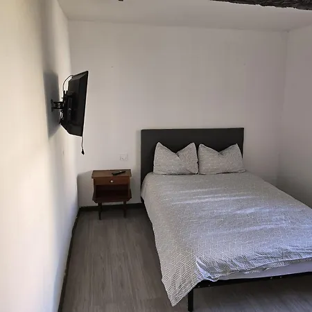 Kastor * リヴサルト